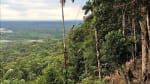 Foto 1 de Puyo, Pastaza