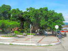 Foto 1 de Lérida, Tolima