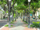Foto 3 de Maturín, Monagas