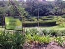 Foto 1 de Sarchí Sur, Alajuela