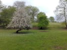 Foto 6 de Gorbea, La Araucanía
