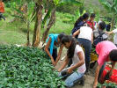 Foto 3 de El Dovio, Valle del Cauca