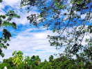 Foto 5 de Purificación, Tolima
