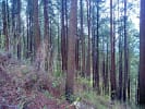 Foto 6 de Naranjo, Alajuela