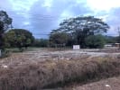 Foto 5 de Río Claro, Puntarenas