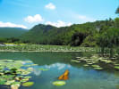Foto 5 de Sabinas Hidalgo, Nuevo León