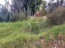 Foto 2 de Nopaltepec, México