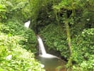 Foto 6 de Monteverde, Puntarenas