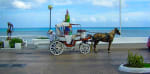 Foto 5 de Cozumel, Quintana Roo