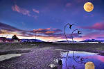 Foto 4 de Puerto Natales, Magallanes y de la Antártica Chilena