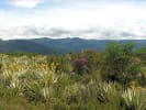 Foto 2 de Guasca, Cundinamarca