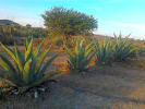 Foto 7 de Nopala de Villagrán, Hidalgo