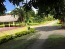 Foto 4 de Guamo, Tolima