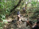 Foto 5 de Fortuna, Guanacaste