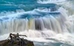 Foto 1 de Torres de Paine, Magallanes y de la Antártica Chilena