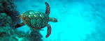 Foto 5 de Bacalar, Quintana Roo