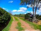 Foto 4 de Sabanilla, Alajuela