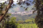 Foto 1 de Buenavista, Quindío