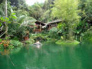 Foto 1 de Mindo, Pichincha
