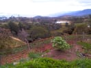 Foto 3 de El Hato de Las Pérez, Mérida