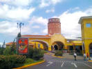 Foto 4 de Flores, Heredia