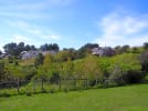 Foto 1 de Ancud, Los Lagos
