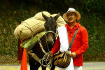 Foto 5 de Montenegro, Quindío