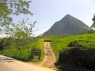 Foto 6 de Venecia, Antioquia