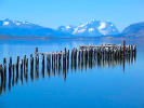 Foto 7 de Puerto Natales, Magallanes y de la Antártica Chilena