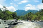 Foto 4 de La Bocana, Valle del Cauca