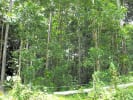 Foto 5 de Chachagua, Alajuela