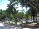 Foto 3 de Rovira, Tolima