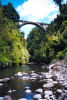 Foto 1 de Río Bueno, Los Ríos