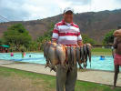 Foto 4 de Vijes, Valle del Cauca