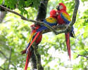 Foto 4 de El Paraíso, Copán