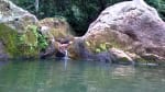 Foto 3 de Melgar, Tolima