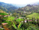 Foto 6 de Envigado, Antioquia