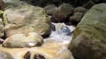 Foto 5 de San Francisco, Cundinamarca