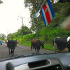 Foto 3 de Vásquez de Coronado, San José