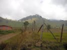 Foto 5 de Oreamuno, Cartago