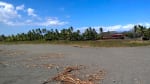 Foto 4 de El Roble, Puntarenas