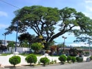 Foto 1 de San Bartolomé Perulapía, Cuscatlán