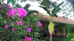 Foto 4 de Catacamas, Olancho