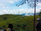 Foto 5 de El Paujil, Caquetá