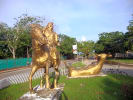 Foto 2 de Arauca, Arauca