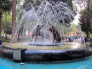 Foto 1 de Coyoacán, Distrito Federal
