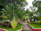 Foto 2 de Agudas, Caldas