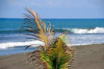 Foto 5 de Playa Hermosa, Puntarenas