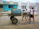 Foto 6 de Maicao, La Guajira