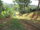 Foto 3 de Sabanilla, Alajuela